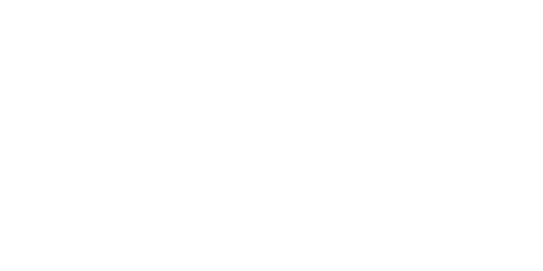 Safe